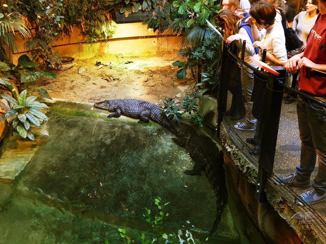 Photos of Rome’s Zoo Bioparco KASADOO
