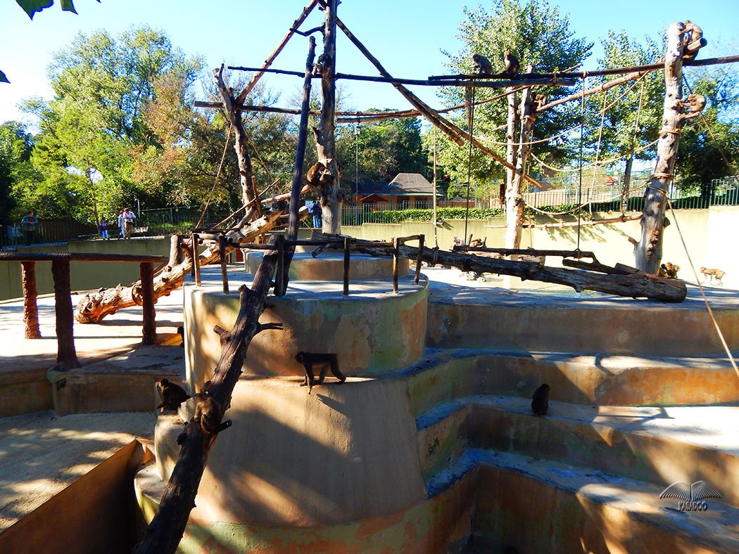 Photos of Rome’s Zoo Bioparco KASADOO