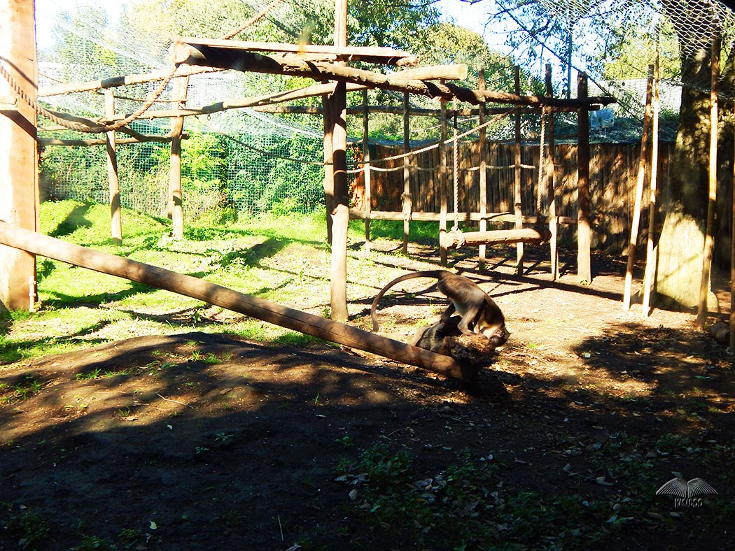 Photos of Rome’s Zoo Bioparco KASADOO