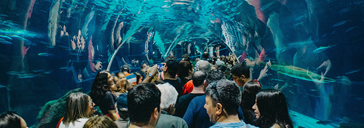 The AquaRio Aquarium