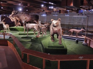 Noah's Ark exhibition at National Museum in Prague