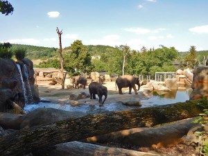 Praški zoološki vrt