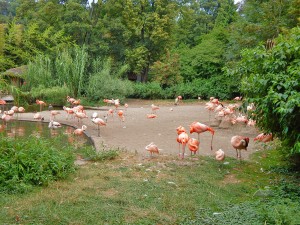 Animals at Prague’s Zoo