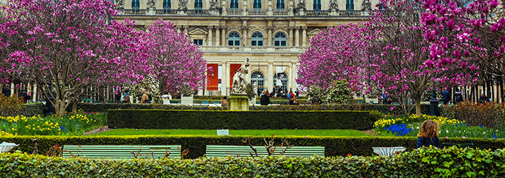 The Luxembourg Gardens