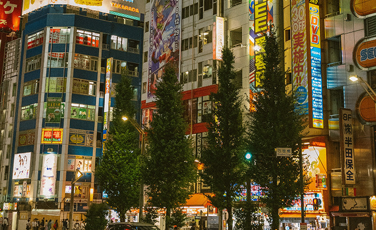The Akihabara neighbourhood