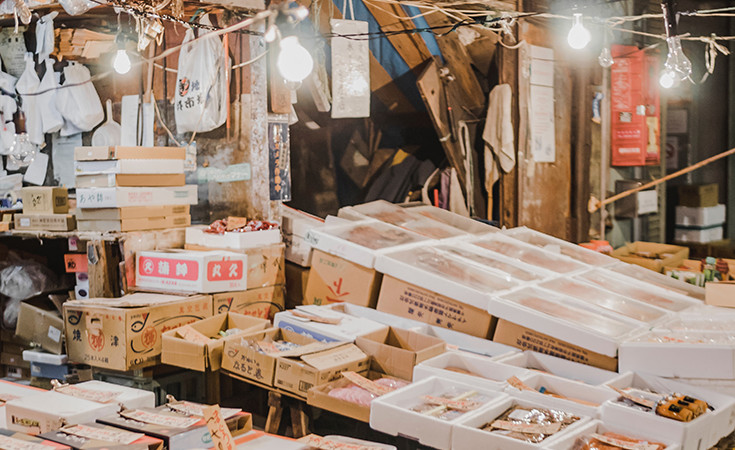 The Tsukiji fish market