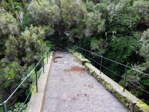 Rabacal the best hiking trails on Madeira