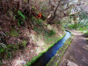 Characteristic levada canals on Rabacal hiking trails