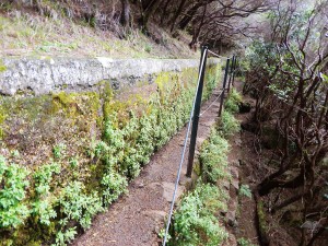 Rabasal planinarske staze na ostrvu Madeira