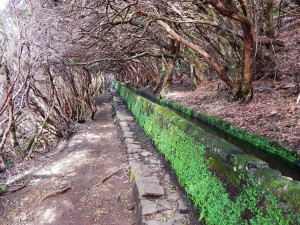 Rabacal hiking trails on the Island of Madeira