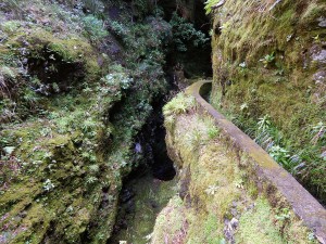 Characteristic levada canals on Rabacal hiking trails