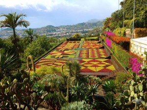 Botanička bašta u gradu Funchal