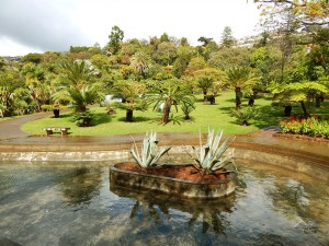 Botanička bašta u gradu Funchal