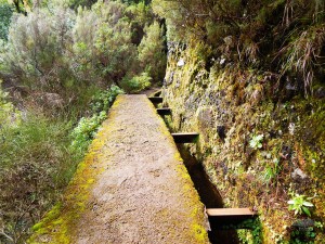 Rabacal hiking trails on Madeira