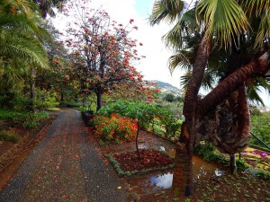 Botanička bašta u Funšalu