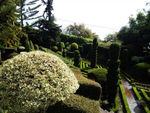 Botanical Garden in Funchal