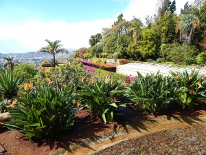 Botanička bašta u Funšalu