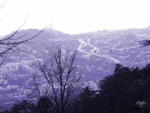Pogled sa brda na kome se nalazi crkva Monte