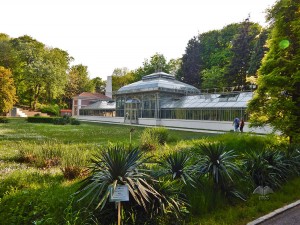 Botanical garden in Belgrade