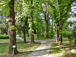 Botanical Garden in Belgrade