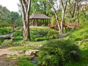 Japanese garden at Belgrade’s Botanical Garden
