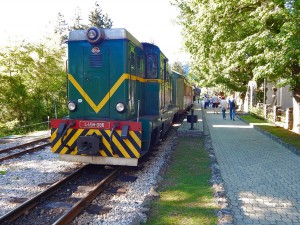 Šargan eight train ride