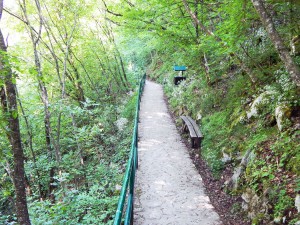 Path that leads to Stopica Cave on Zlatibor Mountain