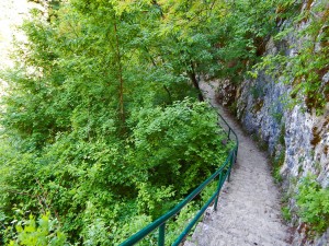 Staza koja vodi do Stopića pećine