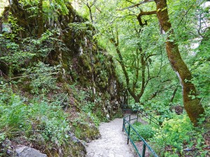 Path that leads to Stopica Cave on Zlatibor Mountain