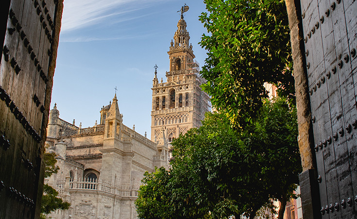 Seviljska katedrala