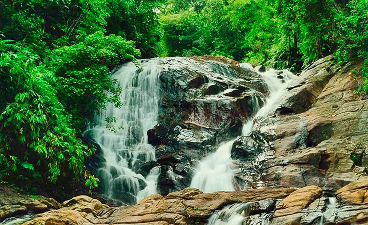 Sinharaja rain forest in Sri Lanka