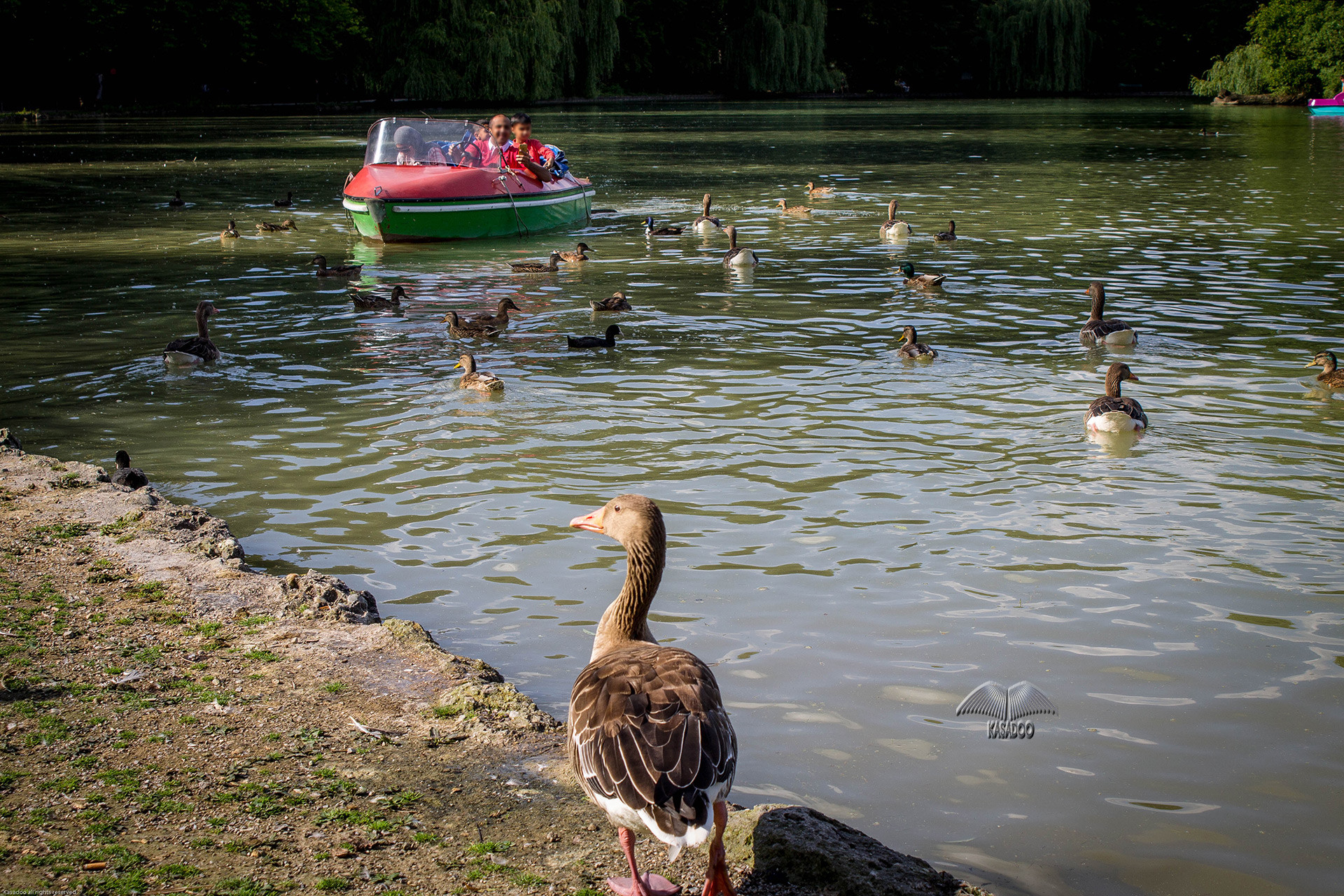 Lago artificial en el parque de Munich