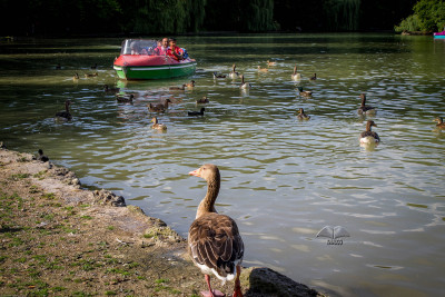 Lago artificial en el parque de Munich