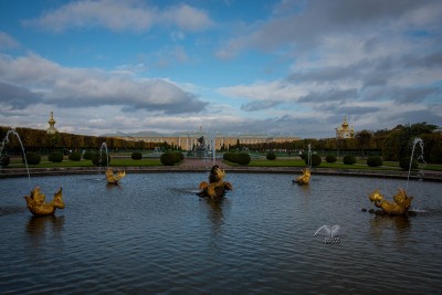 Fountains in front of Peterhof