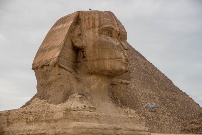 Der Kopf der Großen Sphinx