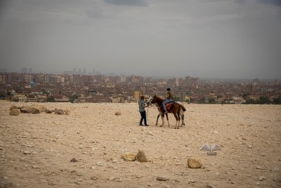 Horse ride on the Giza Plateau