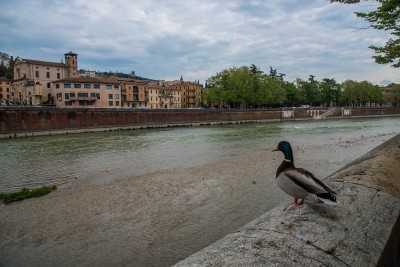 Naturaleza en Verona
