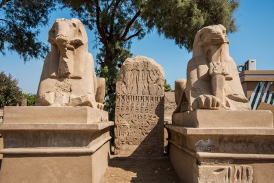 Statue ovna u hramu Karnak