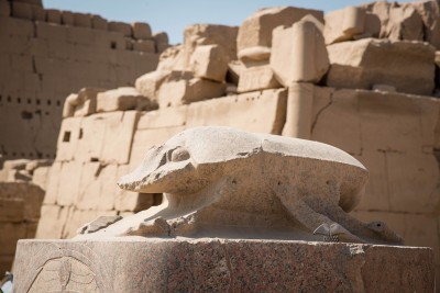 Scarabeo nel tempio di Karnak